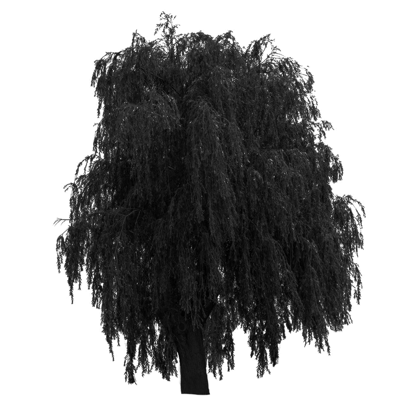 Silo of Wisconsin Weeping Willow tree